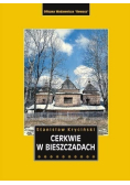 Cerkwie w Bieszczadach