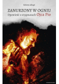 Zanurzony w ogniu