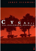 Cyganie na polskich drogach