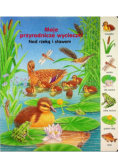 Moje przyrodnicze wycieczki Nad rzeką i stawem