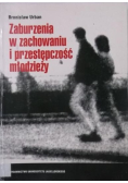 Zaburzenia w zachowaniu i przestępczość młodzieży