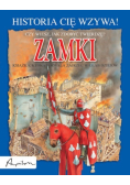 Zamki