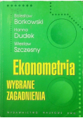 Ekonometria Wybrane zagadnienia