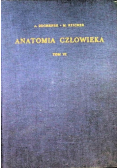 Anatomia człowieka Tom VI