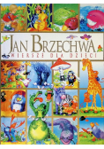 Brzechwa wiersze dla dzieci