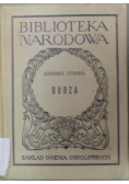 Ostrowski burza