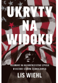 Ukryty na widoku