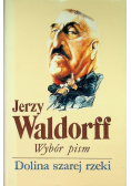 Waldorff Wybór pism Dolina szarej rzeki