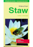Staw
