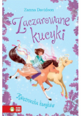 Zaczarowane kucyki Tom 4 Księżniczka Kucyków