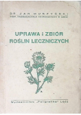 Uprawa i zbiór roślin leczniczych 1947 r.