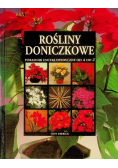 Rośliny doniczkowe Poradnik encyklopedyczny od A do Z