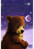 Zimowa kraina cudów