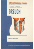 Brzuch