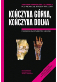 Anatomia Prawidłowa Człowieka Kończyna górna Kończyna dolna