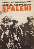 Oddział partyzancki spaleni