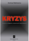 Kryzys