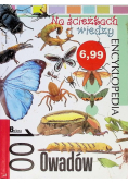 Encyklopedia na ścieżkach wiedzy 100 owadów