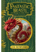 Fantastic Beasts and Where to Find Them