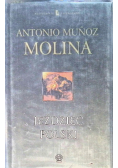 Jeździec polski