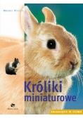Króliki miniaturowe
