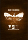 W Sepii Zielonogórska powieść graficzna
