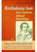 Rozhukany koń