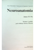 Neuroanatomia