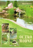 Oczko wodne