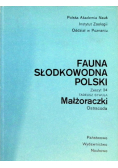Fauna słodkowodna Polski Ptaki Aves