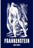 Frankenstein czyli współczesny prometeusz