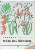Rośliny lasu liściastego