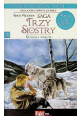 Saga Trzy siostry Godzina wilków Tom 31
