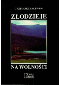 Złodzieje na wolności