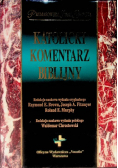 Katolicki komentarz biblijny