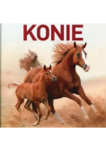 Konie