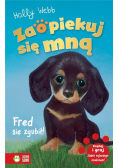 Zaopiekuj się mną. Fred się zgubił