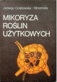 Mikoryza roślin użytkowych