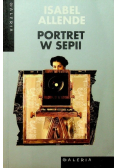 Portret w sepii