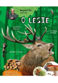 Opowiada o lesie