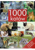 1000 kotów