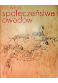 Społeczeństwa owadów
