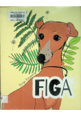 Figa