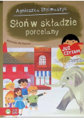 Słoń w składzie porcelany