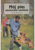 Mój pies - amatorskie szkolenie