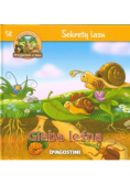 Gleba leśna Tom 58