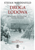 Droga lodowa