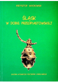 Śląsk w dobie przedpiastowskiej