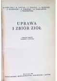Uprawa i zbiór ziół