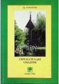 Chwalcie łąki umajone